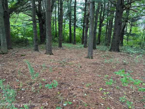 $69,500 | Tbd Todd Road, Stamford, NY 12167