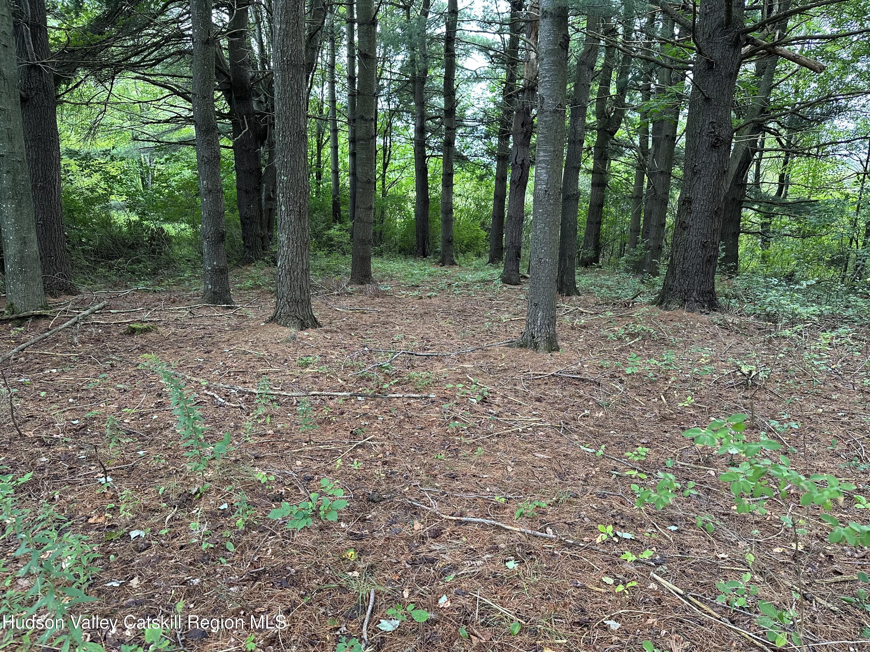 Tbd Todd Road Stamford, NY 12167 - Photo 2 of 23 a view of outdoor space and green space