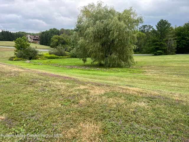 a view of a field with an trees