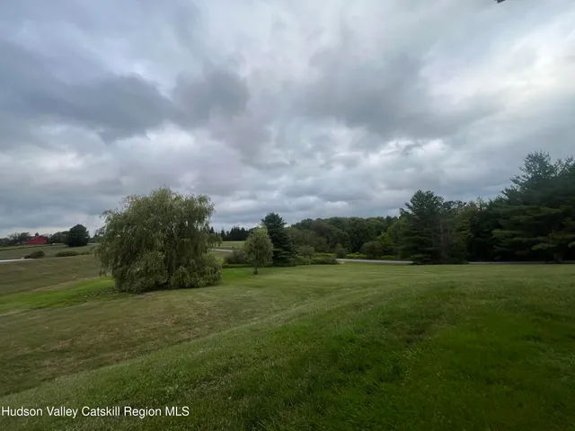a view of grassy field with trees