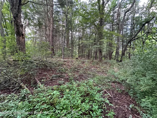 a view of a large yard with lots of green space