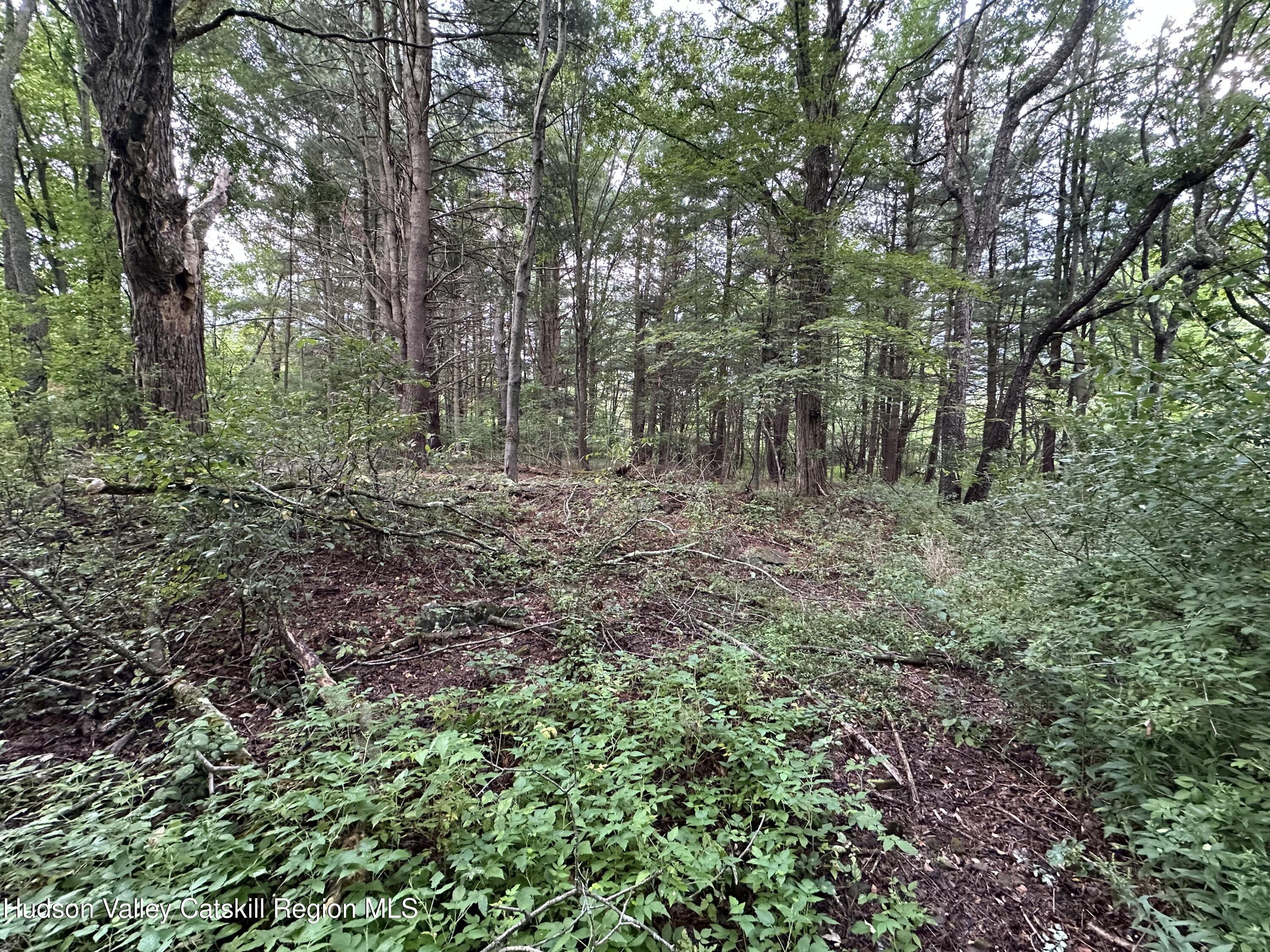 Tbd Todd Road Stamford, NY 12167 - Photo 5 of 23 a view of a large yard with lots of green space