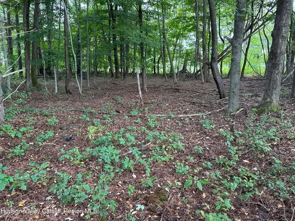 $69,500 | Tbd Todd Road, Stamford, NY 12167