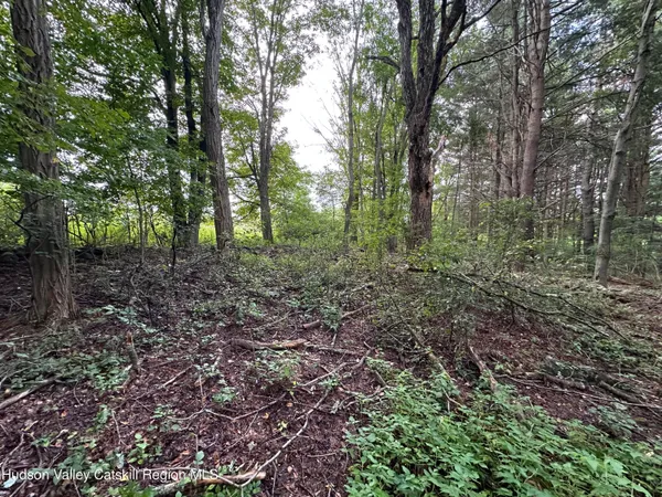 $69,500 | Tbd Todd Road, Stamford, NY 12167