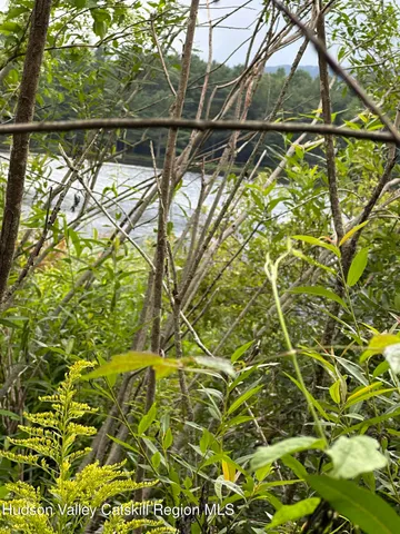 a view of with plants