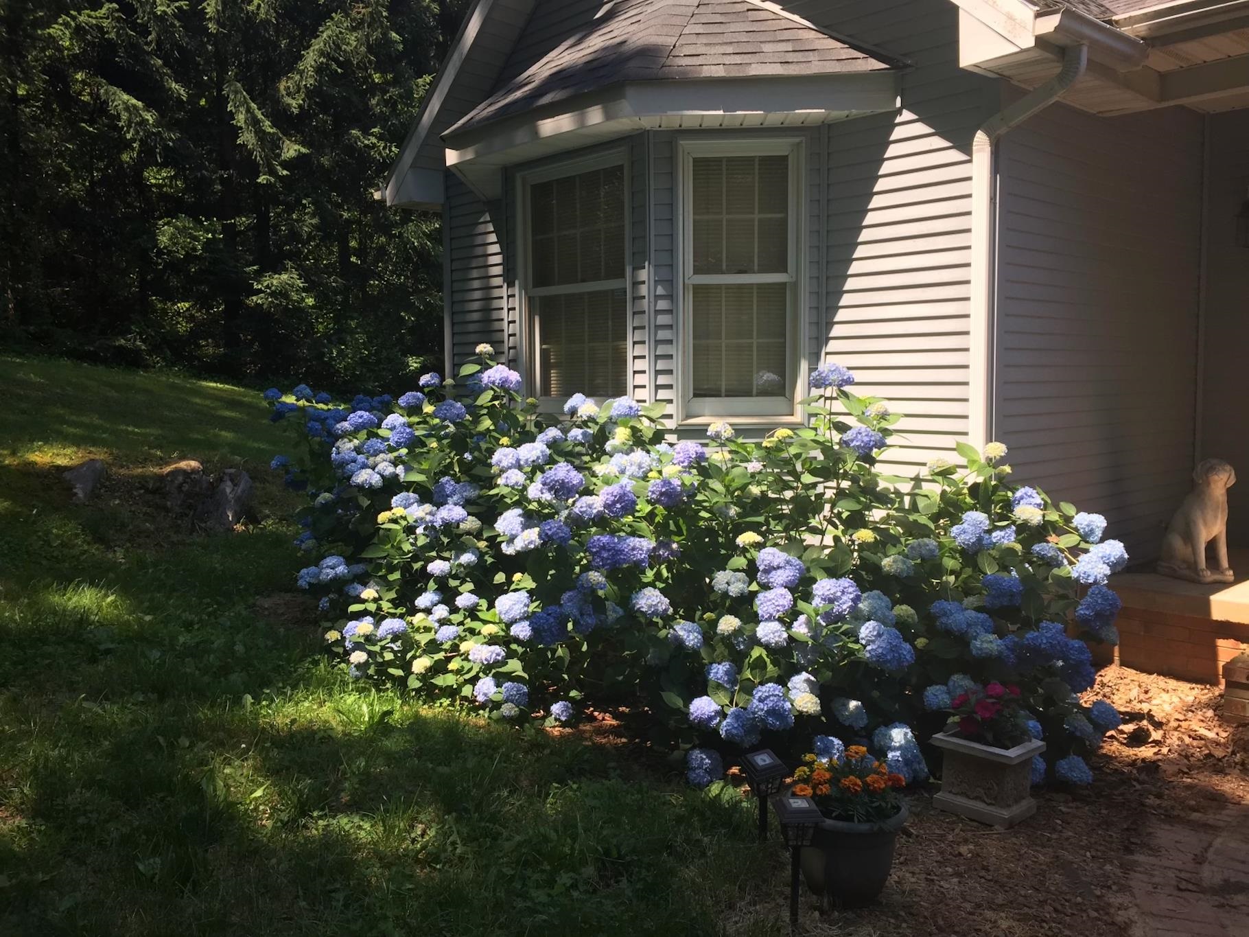 127 Ridgetop Drive, Unit A Weyers Cave, VA 24486 - Photo 72 of 74 Gallery Image 72