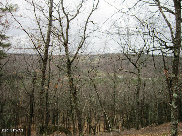 70 Deer Run Road Hawley, PA 18428 - Photo 2 of 7 Gallery Image 2