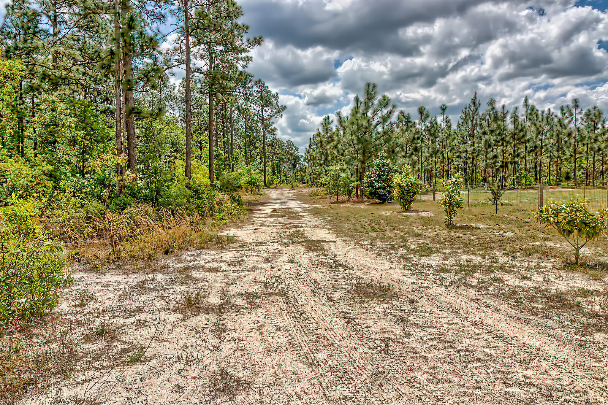 800 Wagontong Road Wagener, SC 29164 - Photo 51 of 57