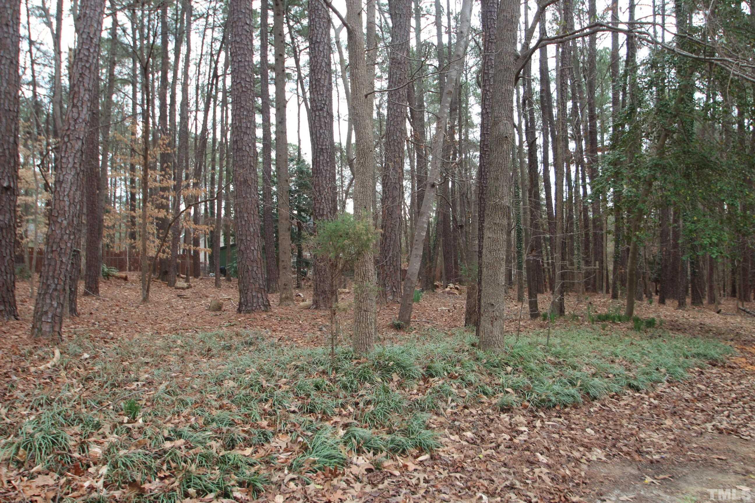 4013 Country Village Drive Raleigh, NC 27606 - Photo 3 of 23 a backyard of a house with lots of green space