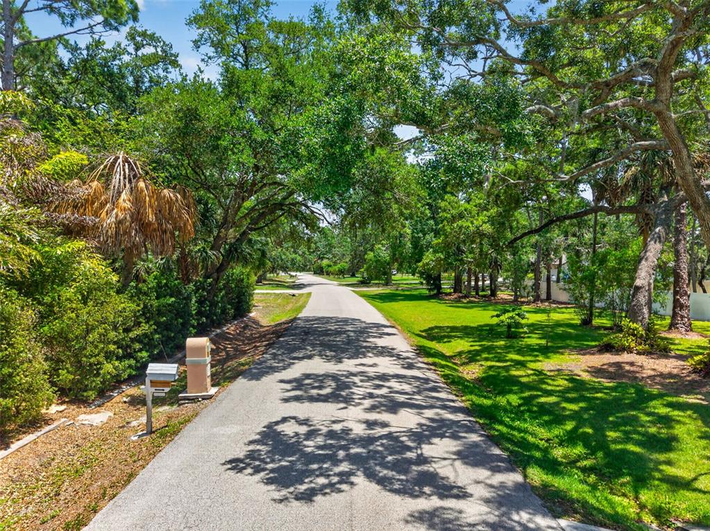 1007 State Street East Oldsmar, FL 34677 - Photo 61 of 65