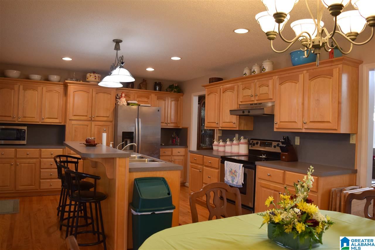 1233 Mountain Lake Road Warrior, AL 35180 - Photo 20 of 47