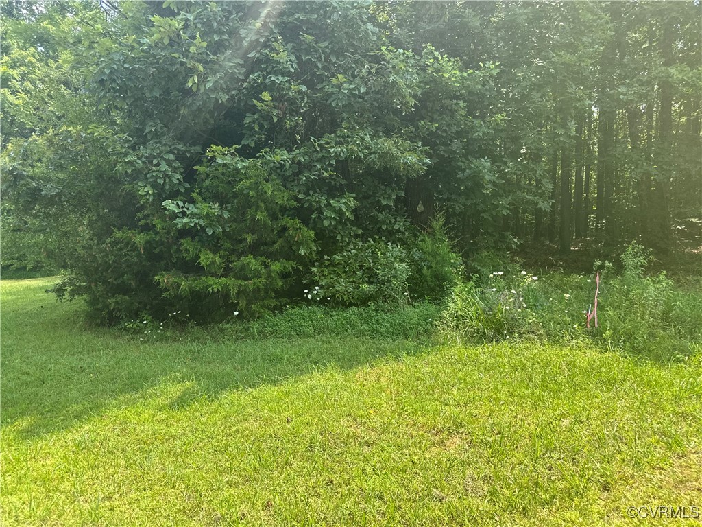 0 Ballsville Road Powhatan, VA 23139 - Photo 1 of 6