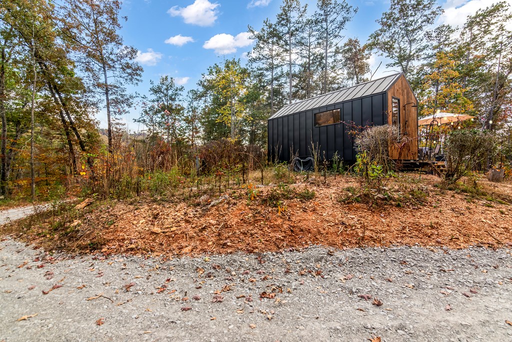 115 Raleigh Ridge Drive Blue Ridge, GA 30513 - Photo 26 of 30 a backyard of a house