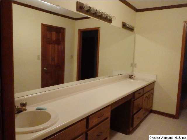 225 Cross Creek Lane Alpine, AL 35014 - Photo 10 of 19