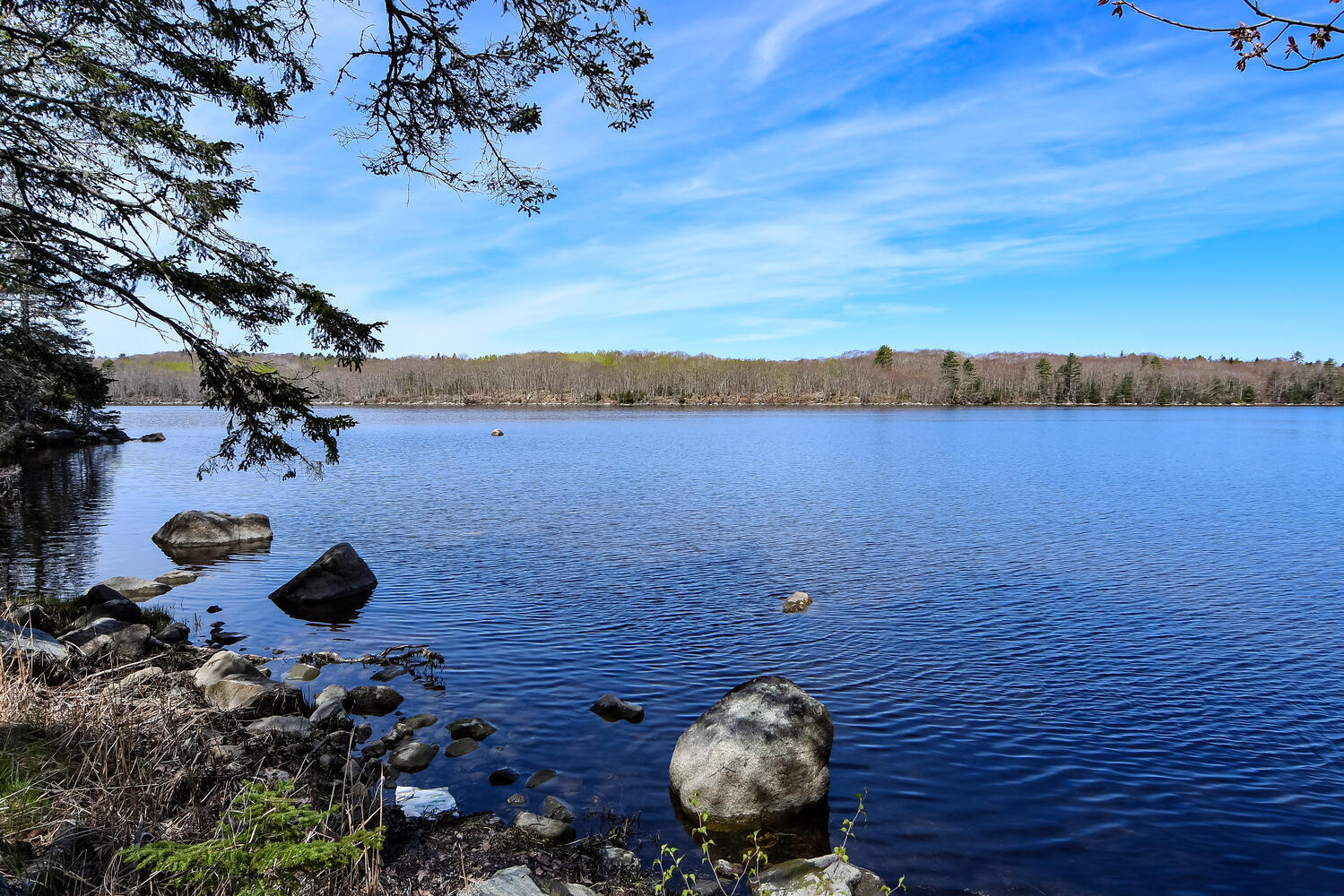181 Rope Ferry Road Sedgwick, ME 04676 - Photo 2 of 43 One of many waterfront views.