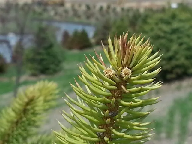 $139,000 | 1505 South Holiday Drive, Waunakee, WI 53597