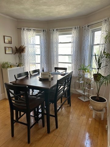 32 Gourley Road, Unit 1 Medford, MA 02155 - Photo 4 of 18