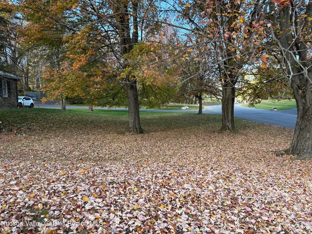 a view of a yard with a tree