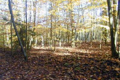 South Valley Road, Unit PAR A Montague, MI 49437 - Photo 1 of 1 Primary Photo