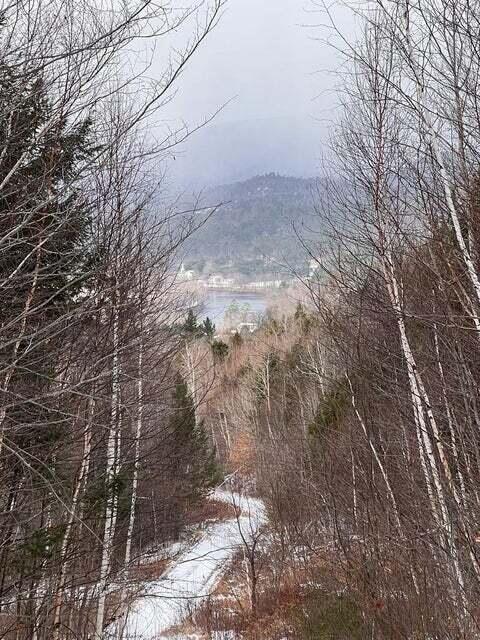 Lot 1 South Rumford Road Rumford, ME 04276 - Photo 8 of 11 20240522184315516900000000-o