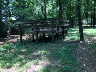 631 Belfast Farmington Road Belfast, TN 37019 - Photo 19 of 30 Gallery Image 19