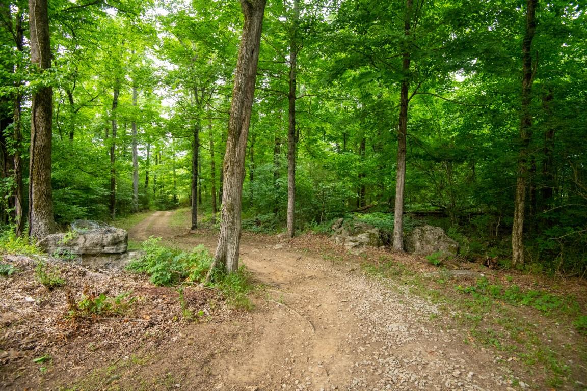 631 Belfast Farmington Road Belfast, TN 37019 - Photo 30 of 30 Gallery Image 30