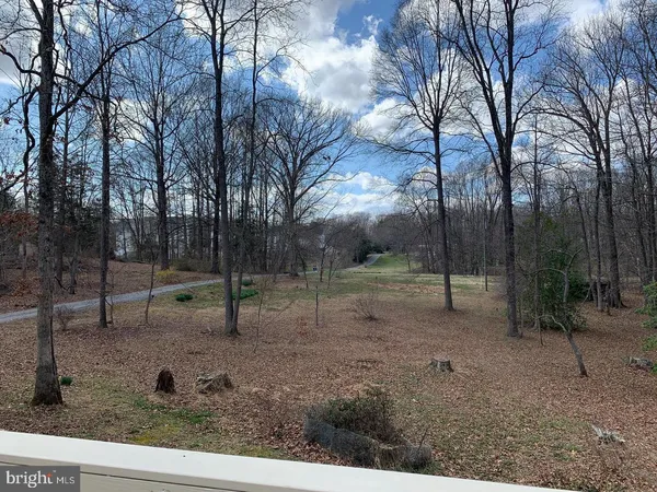 a big yard with lots of green space and trees