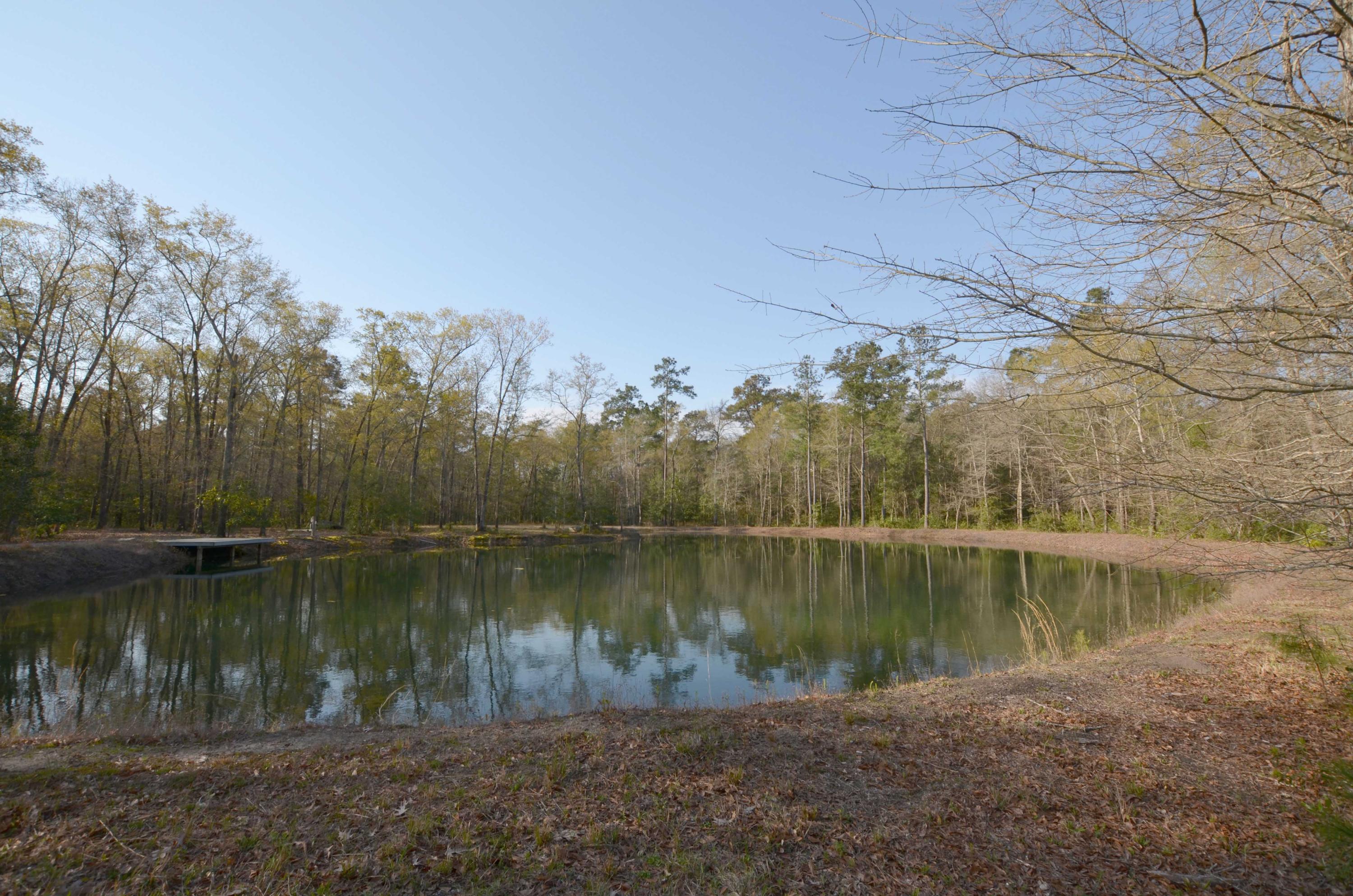 3 C Old Georgetown Road McClellanville, SC 29458 - Photo 1 of 5 Pond1