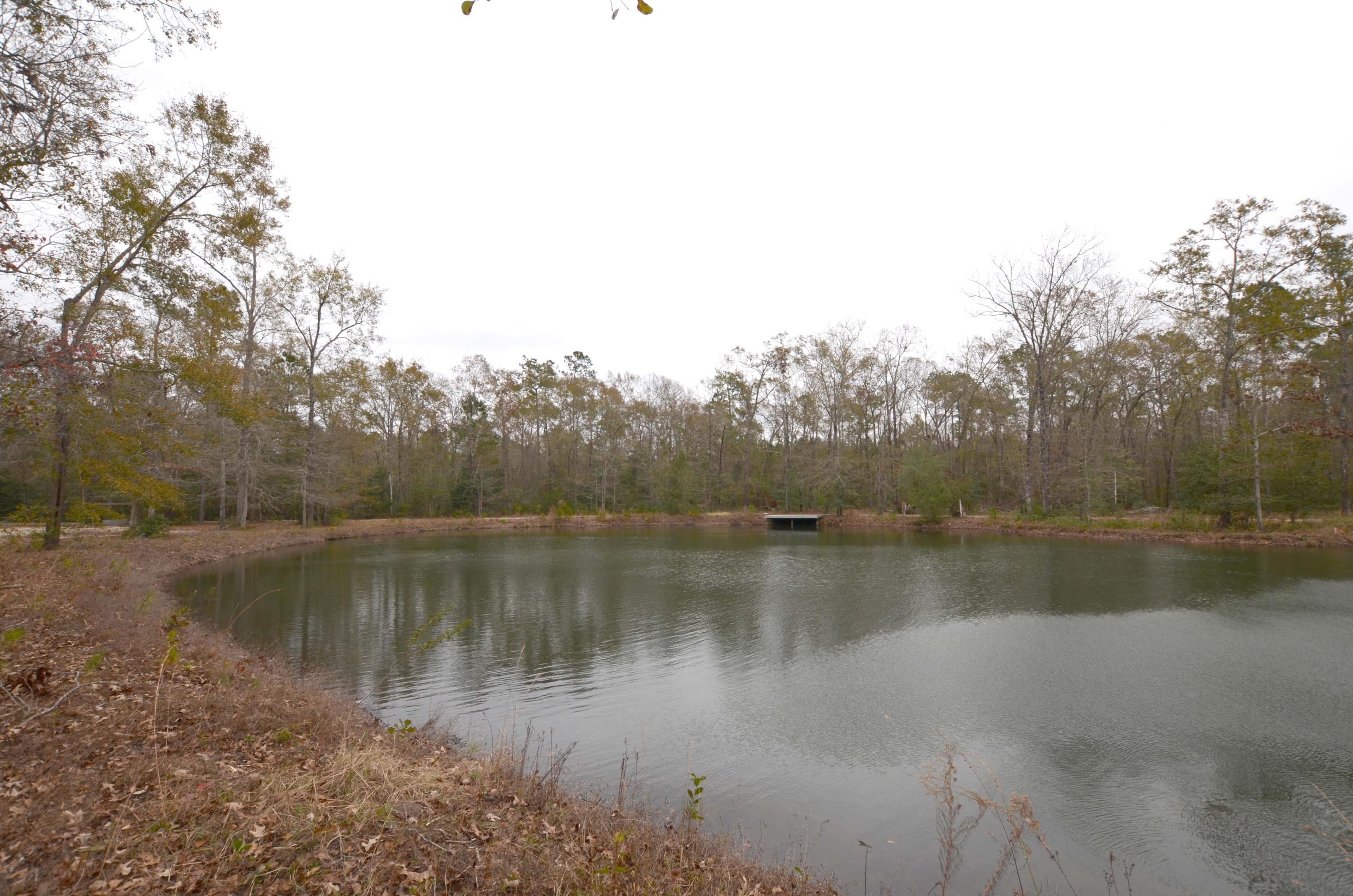 3 C Old Georgetown Road McClellanville, SC 29458 - Photo 2 of 5 Pond2