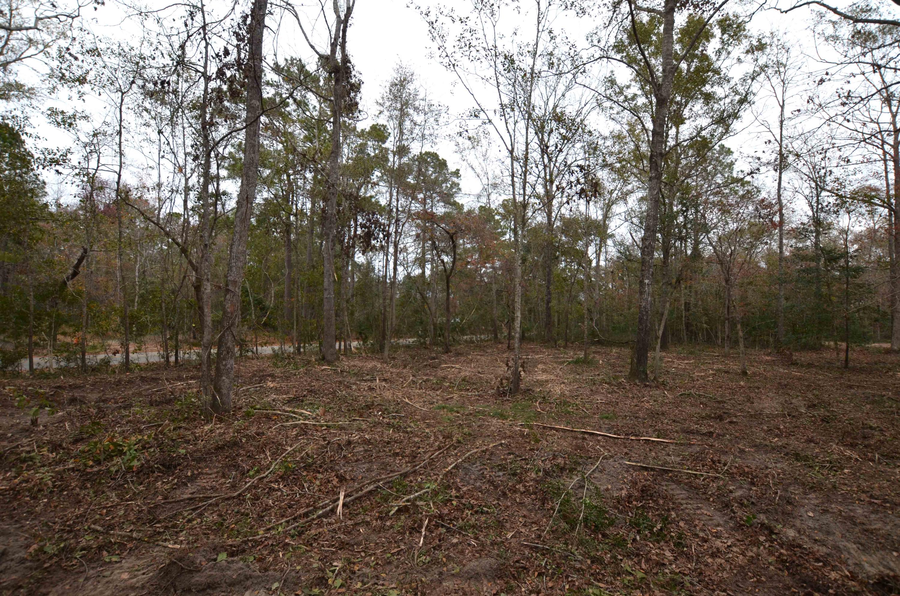 3 C Old Georgetown Road McClellanville, SC 29458 - Photo 3 of 5 cleared1