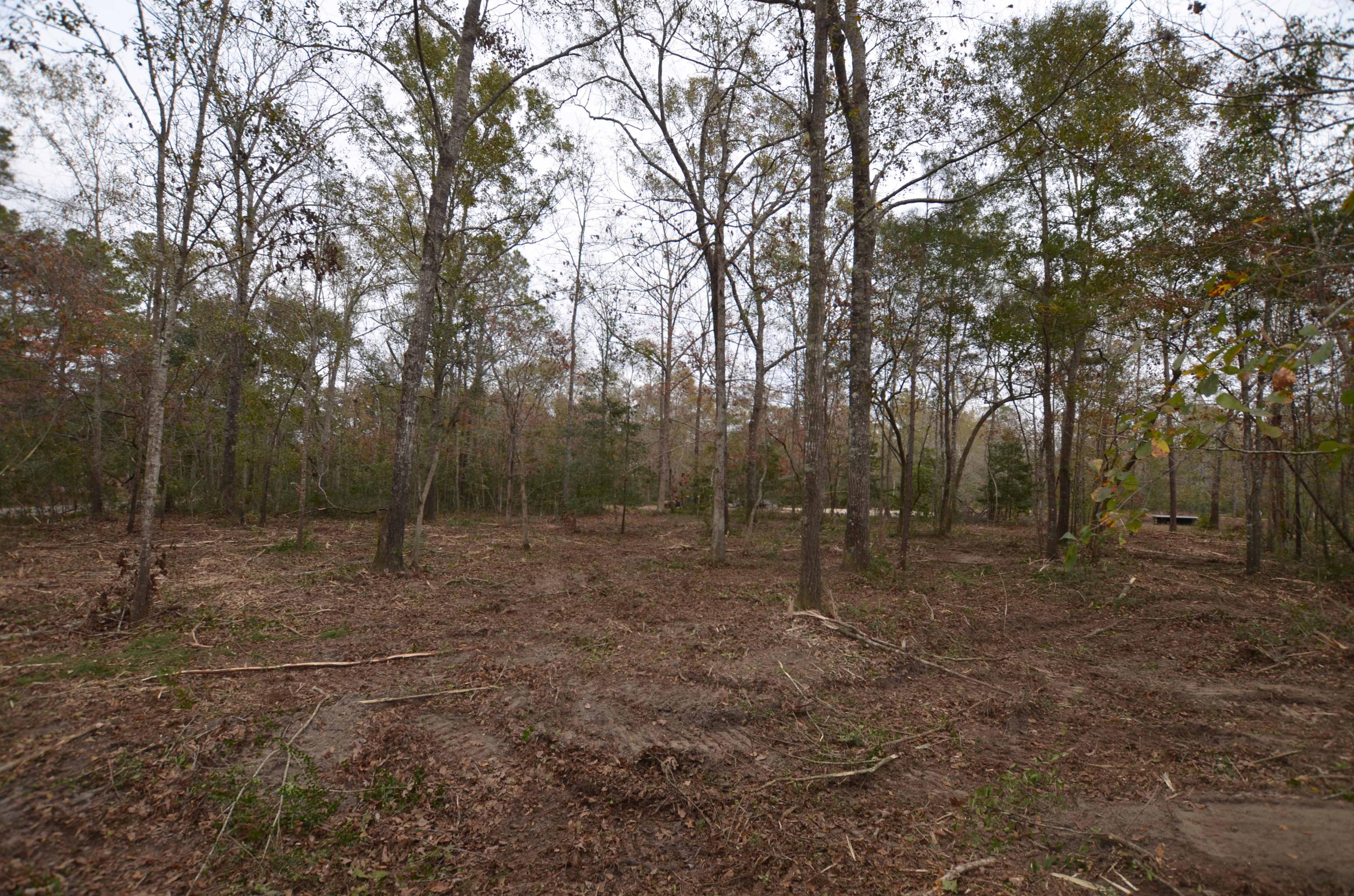 3 C Old Georgetown Road McClellanville, SC 29458 - Photo 4 of 5 cleared