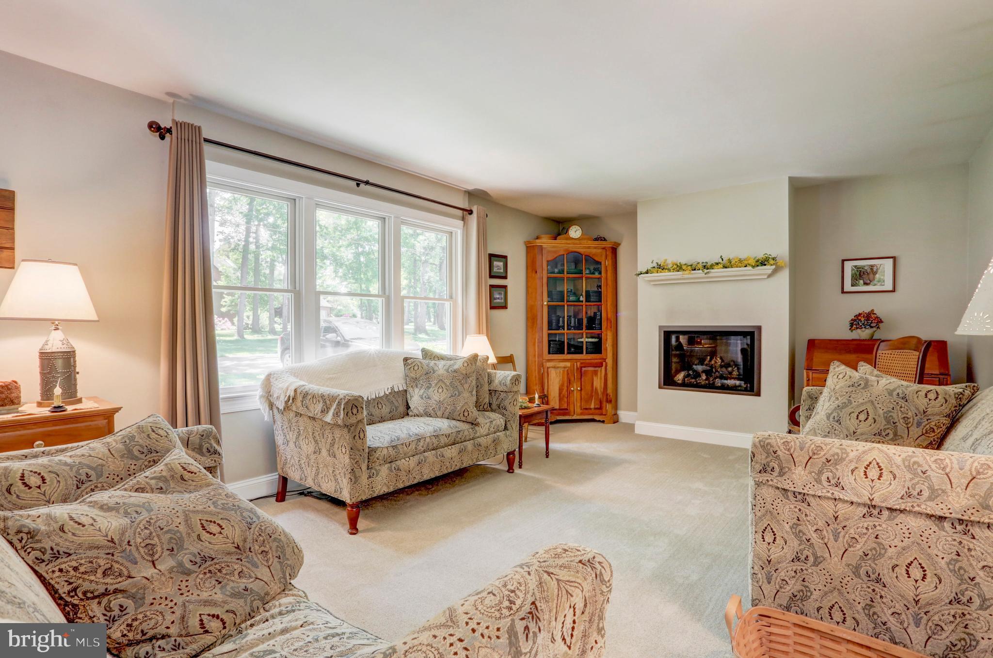 101 Skyview Lane Lititz, PA 17543 - Photo 4 of 42 Living Room