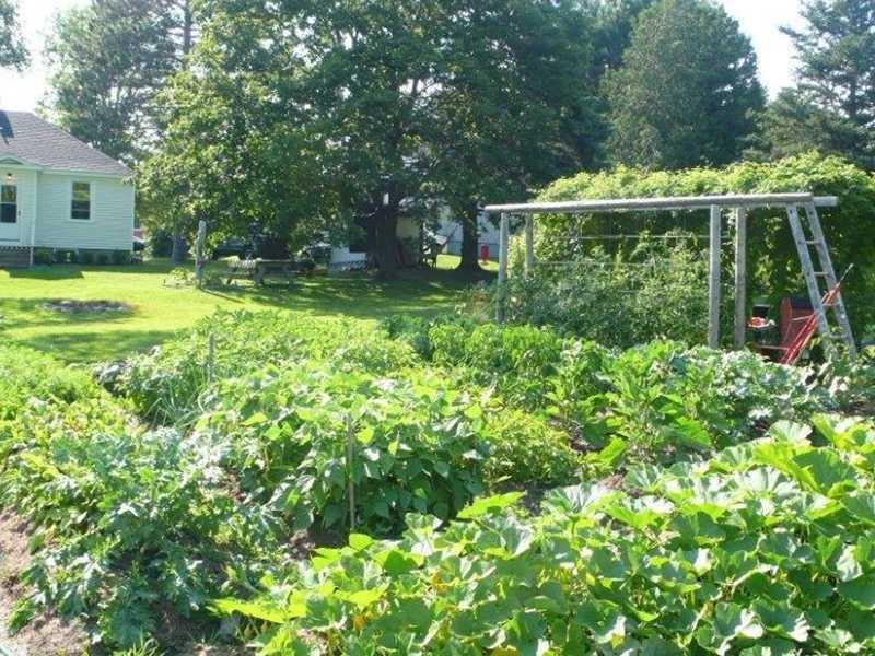 1006 May Street Bangor, ME 04401 - Photo 20 of 21 Yard/Garden.