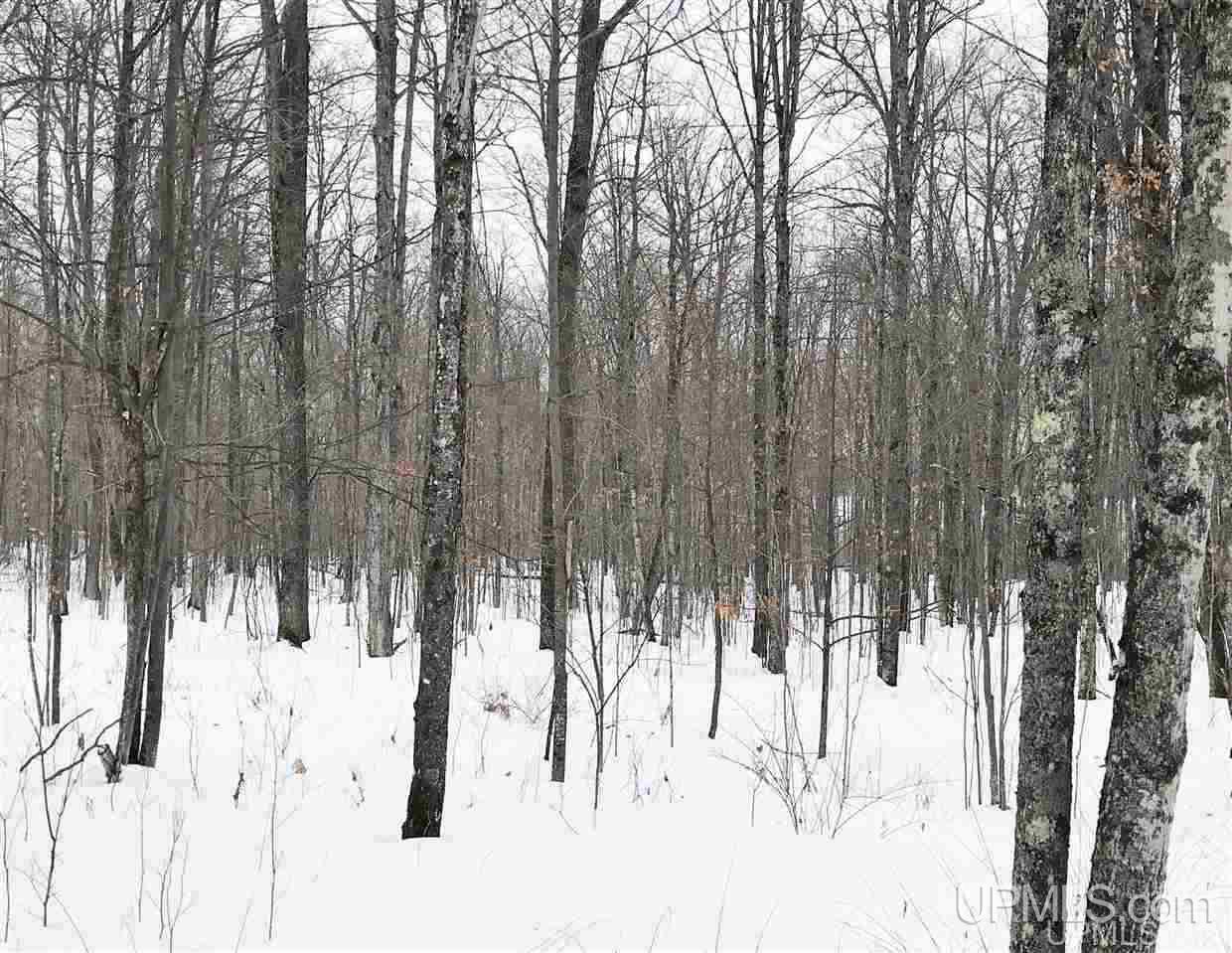 Tbd Ridgeview Road, Unit LOTS 34 & 35 Iron River, MI 49935 - Photo 20 of 45 Gallery Image 20