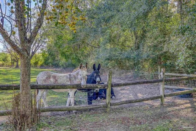 $2,399,000 | 1650 Bear Bay Flats Road, Laurel Hill, FL 32567