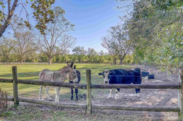 $2,399,000 | 1650 Bear Bay Flats Road, Laurel Hill, FL 32567