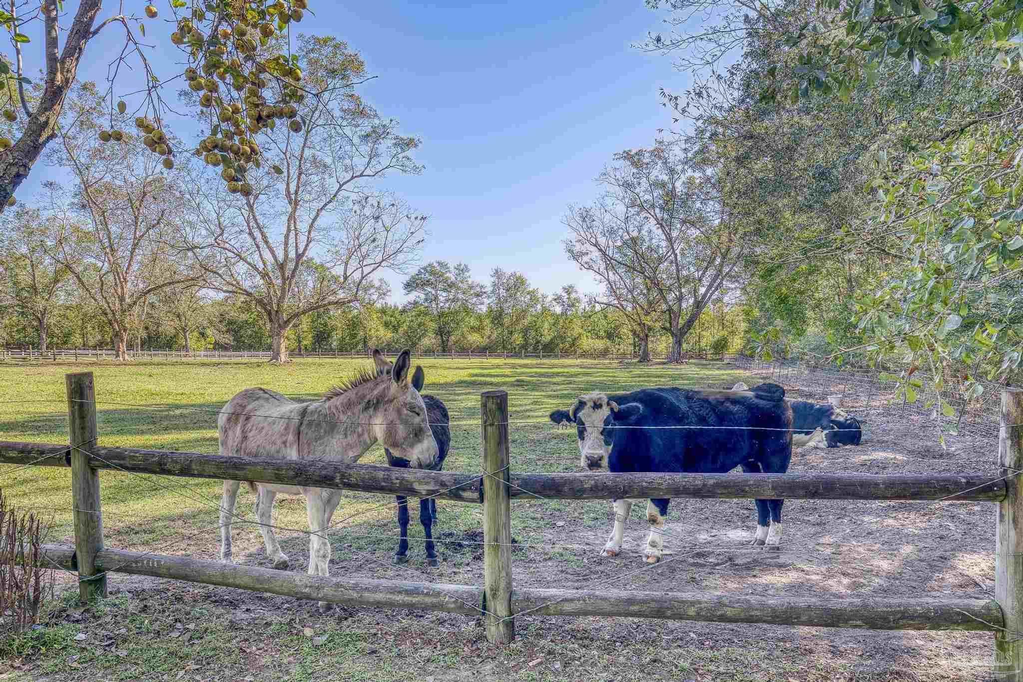 1650 Bear Bay Flats Road Laurel Hill, FL 32567 - Photo 43 of 67