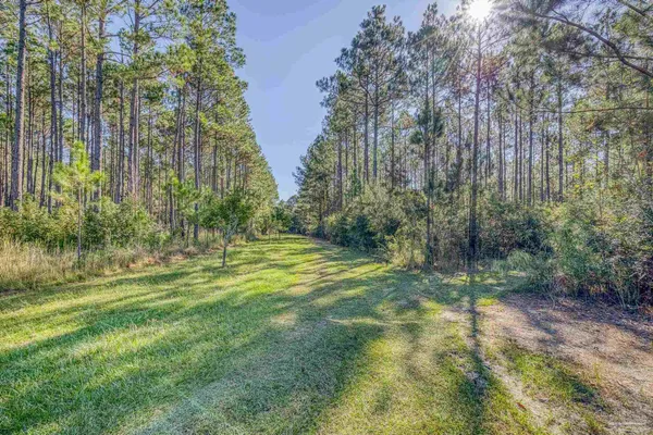 $2,399,000 | 1650 Bear Bay Flats Road, Laurel Hill, FL 32567