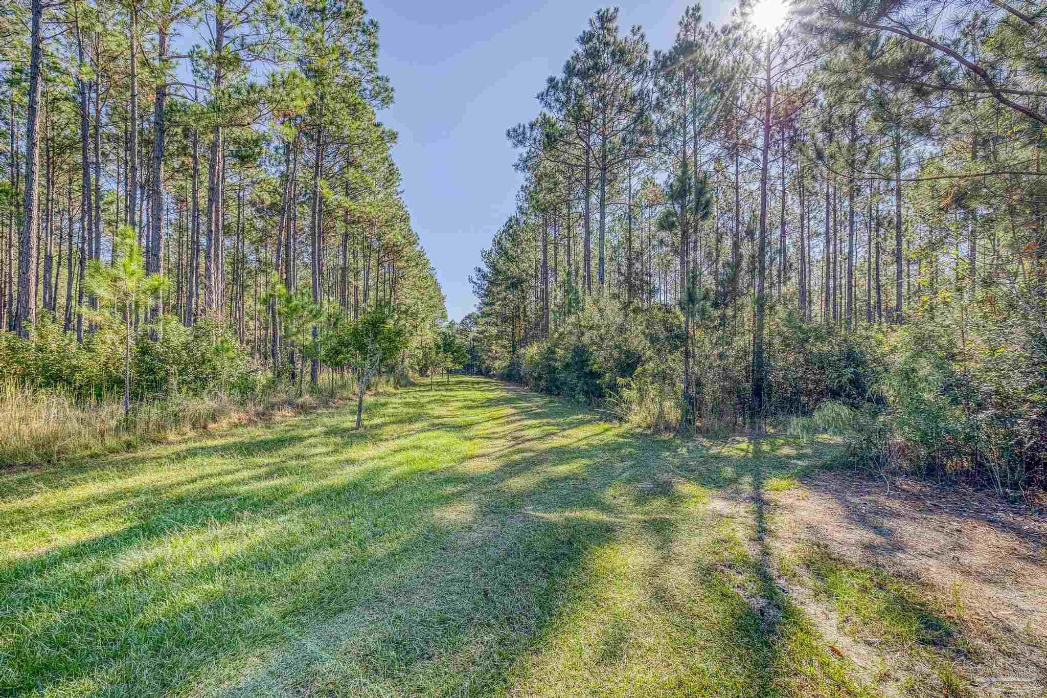 1650 Bear Bay Flats Road Laurel Hill, FL 32567 - Photo 44 of 67