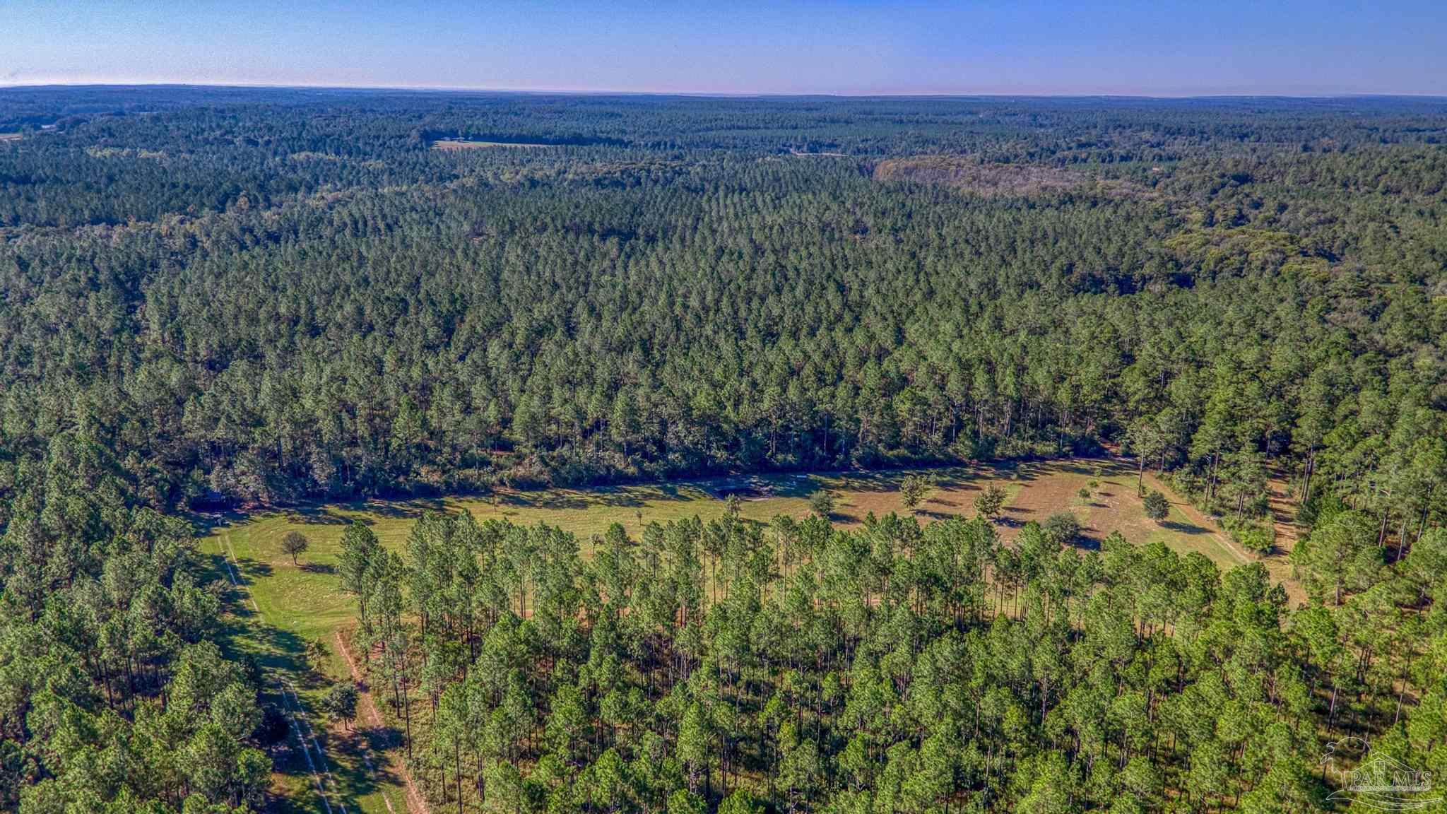 1650 Bear Bay Flats Road Laurel Hill, FL 32567 - Photo 45 of 67