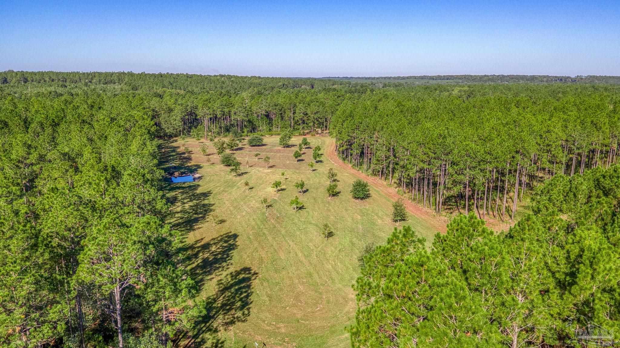 1650 Bear Bay Flats Road Laurel Hill, FL 32567 - Photo 46 of 67