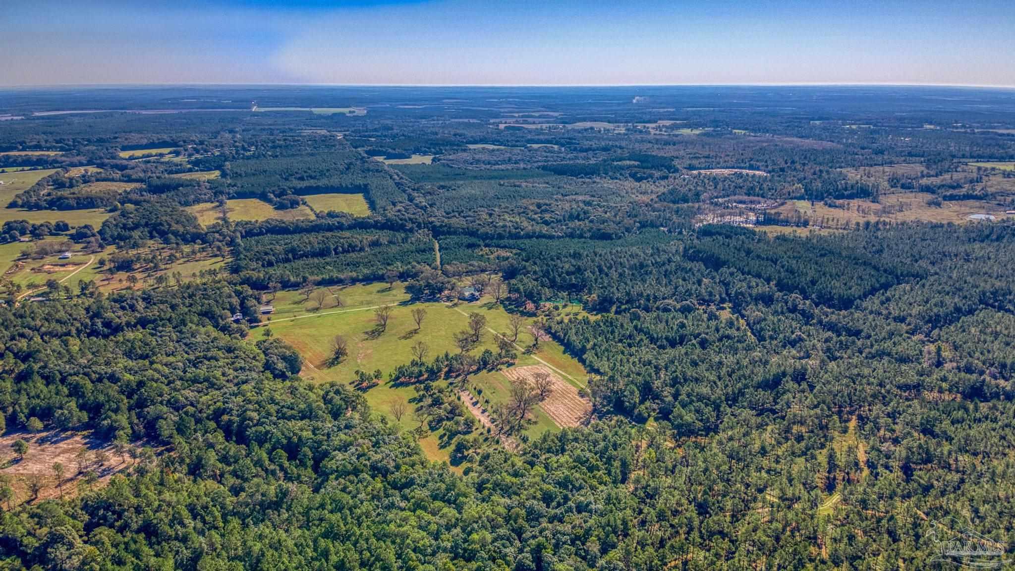 1650 Bear Bay Flats Road Laurel Hill, FL 32567 - Photo 51 of 67