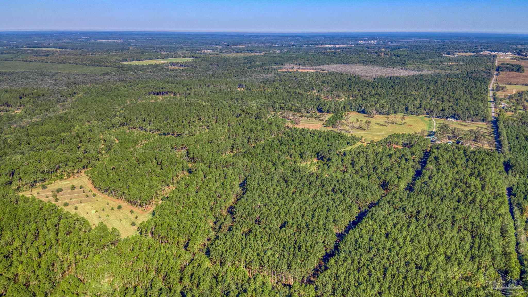 1650 Bear Bay Flats Road Laurel Hill, FL 32567 - Photo 53 of 67