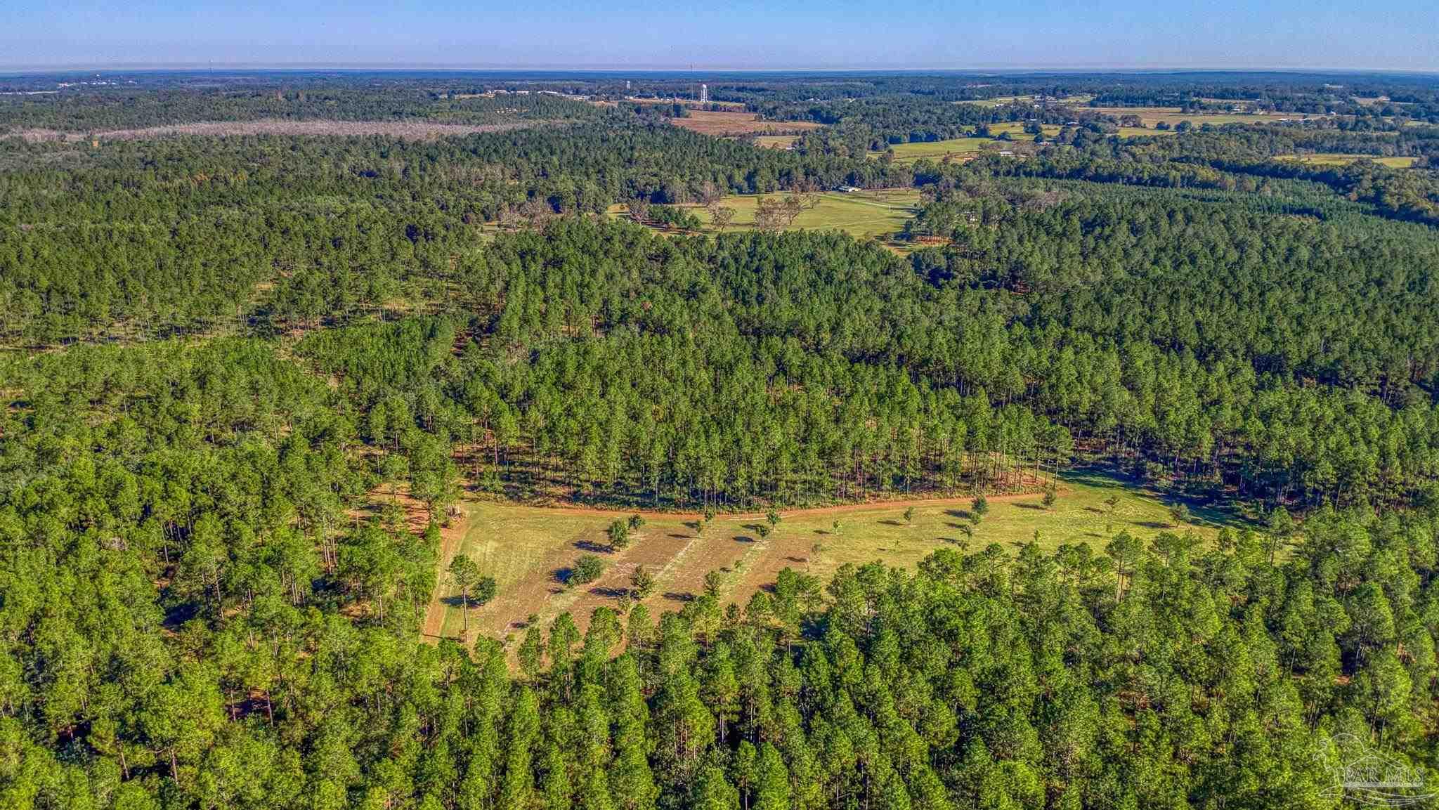 1650 Bear Bay Flats Road Laurel Hill, FL 32567 - Photo 54 of 67