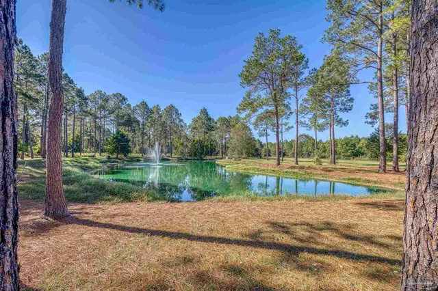 $2,399,000 | 1650 Bear Bay Flats Road, Laurel Hill, FL 32567