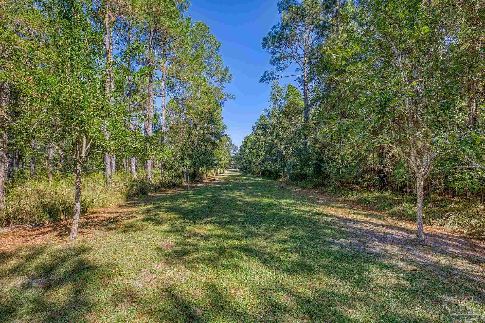 1650 Bear Bay Flats Road Laurel Hill, FL 32567 - Photo 62 of 67