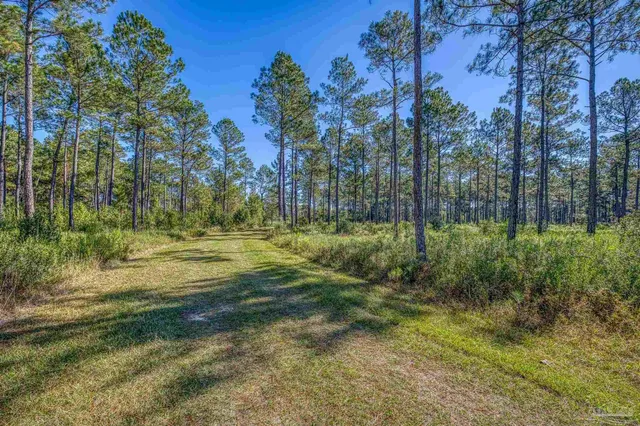 $2,399,000 | 1650 Bear Bay Flats Road, Laurel Hill, FL 32567