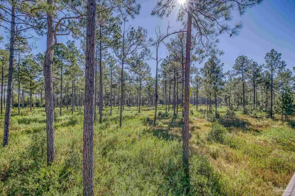 $2,399,000 | 1650 Bear Bay Flats Road, Laurel Hill, FL 32567