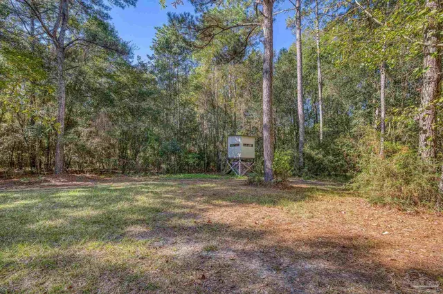 $2,399,000 | 1650 Bear Bay Flats Road, Laurel Hill, FL 32567