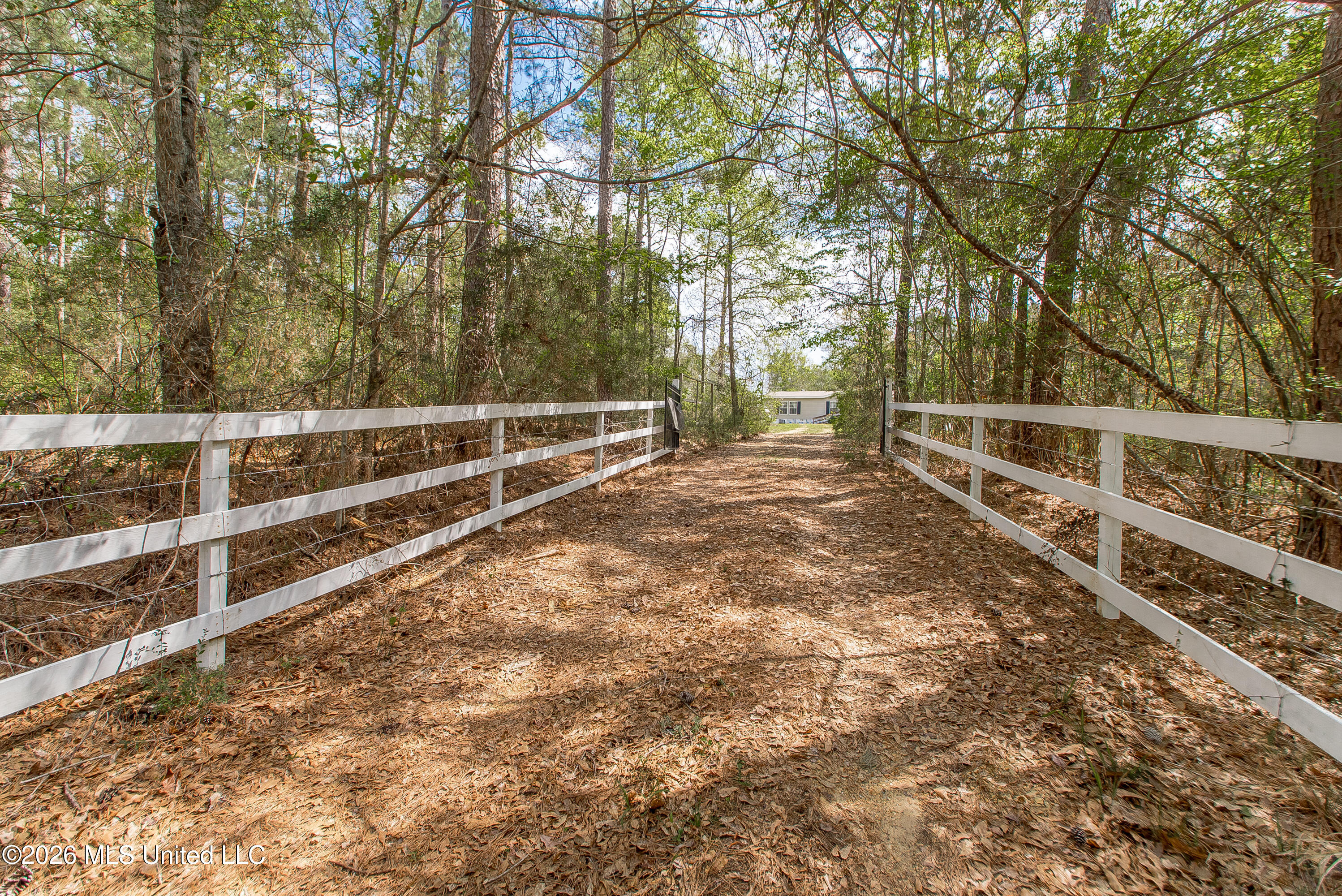8074 Magnolia Holmesville Road McComb, MS 39648 - Photo 2 of 45 DSC_9079 copy